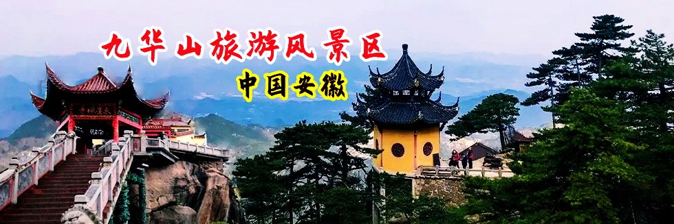 白虎嫩逼被操